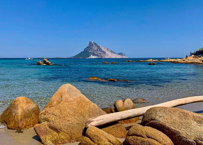 公寓 Casa Elicriso 波尔图塔韦尔纳